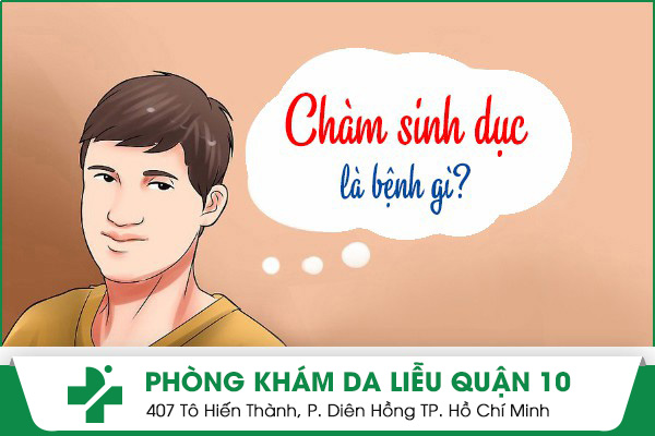 chàm sinh dục