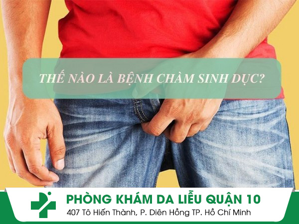chàm sinh dục